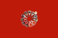聊城阳谷县回收红酒